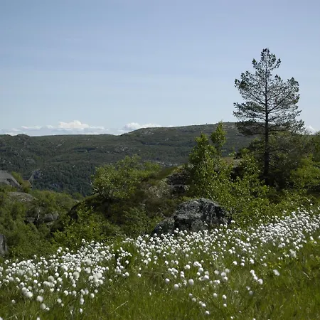 Ornefjell By Interhome *